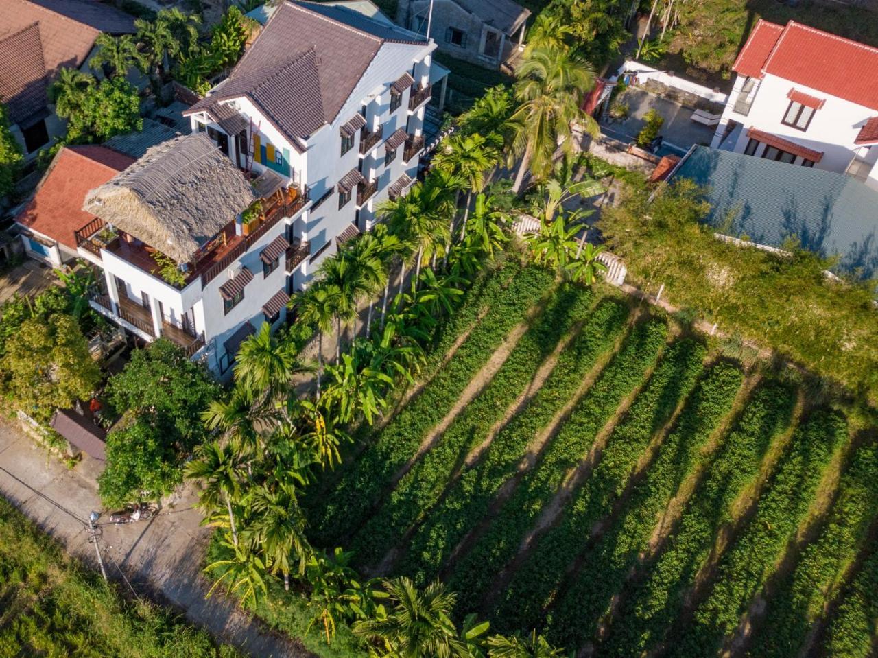 The Bau Bi Retreat Lägenhet Hoi An Exteriör bild